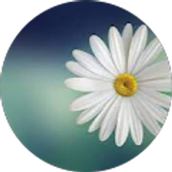 Profile photo of Hannah Field