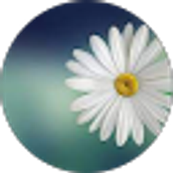Profile photo of Hannah Field