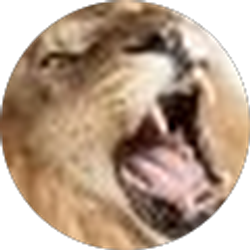 Profile photo of Dan Schaefer