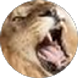 Profile photo of Dan Schaefer