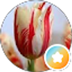 Profile photo of Dawn Berney