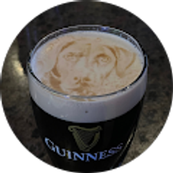 Profile photo of Mike Gallagher