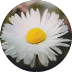 Profile photo of Heidi