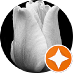 Profile photo of Saudia Business Shabazz