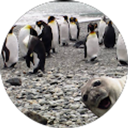 Profile photo of Gaelle Chleborad