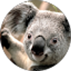 Profile photo of Shimmy Nauenberg
