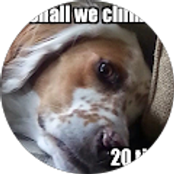 Profile photo of Kleber Tenemaza