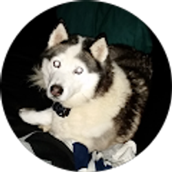 Profile photo of Bethany Jones