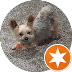 Profile photo of Julien