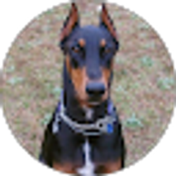Profile photo of Wendelyn Dillard