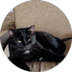 Profile photo of Kenneth Welker