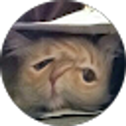 Profile photo of Jordan Noe