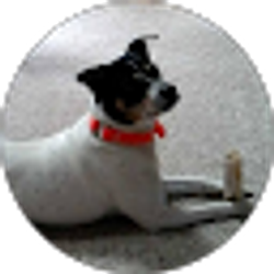 Profile photo of Stacie Talsma