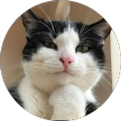 Profile photo of Josh M