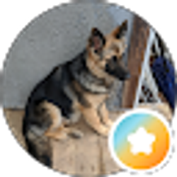 Profile photo of Dave