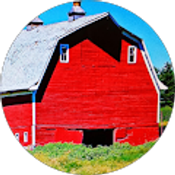 Profile photo of Krystle Hills