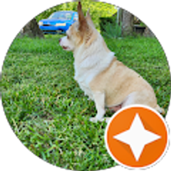 Profile photo of Pam Masters