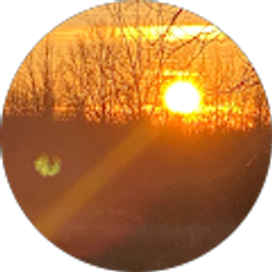 Profile photo of robyn harmon