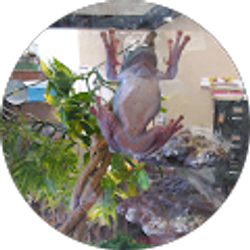 Profile photo of Ms. Wall