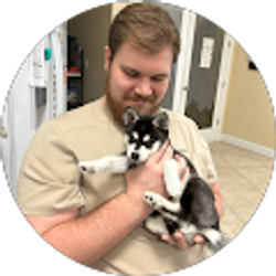 Profile photo of Ian Huskins