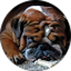 Profile photo of Techie Guy