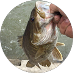 Profile photo of raul bueno