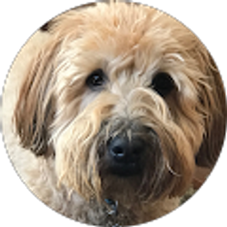 Profile photo of Edward Marion