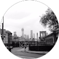 Profile photo of Stephen Gilmore