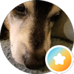Profile photo of Penny Morris