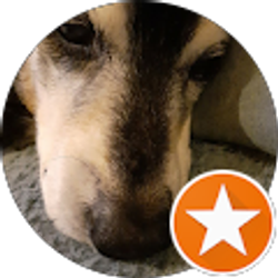 Profile photo of Penny Morris