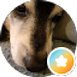 Profile photo of Penny Morris