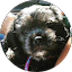 Profile photo of Lanai Lockhart