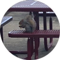 Profile photo of jakob clark