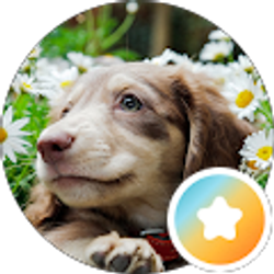 Profile photo of Z_Z