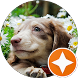 Profile photo of Z_Z