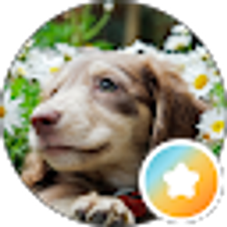 Profile photo of Z_Z