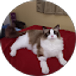 Profile photo of Michael Lee