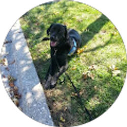 Profile photo of Steve Karmgard