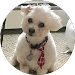 Profile photo of Deborah Sullivan