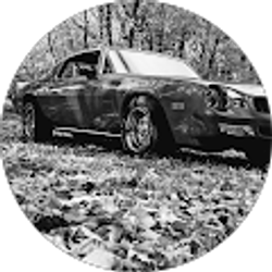 Profile photo of DAVID HORTON