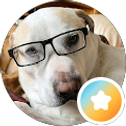 Profile photo of Aaron Athmann