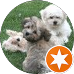 Profile photo of Christie Smith