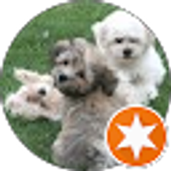 Profile photo of Christie Smith