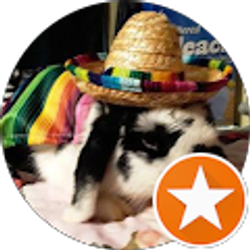 Profile photo of BrandySue Rochelle