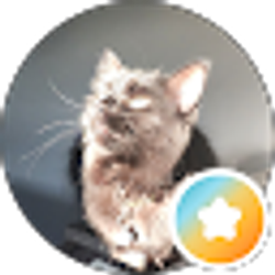 Profile photo of Tory H