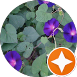 Profile photo of Page Creed