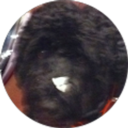 Profile photo of Michael Campagna