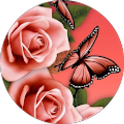 Profile photo of penny freeman