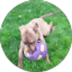 Profile photo of LaShon Catron