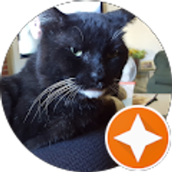 Profile photo of Jo Murray